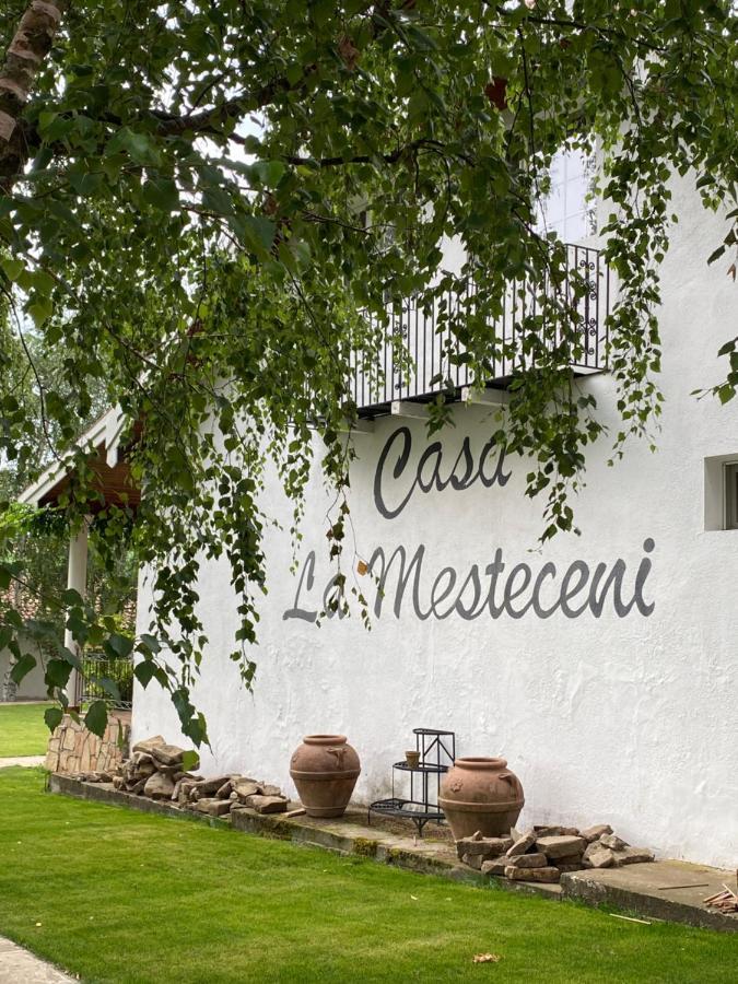 Country Club La Mesteceni Szászsebes Kültér fotó