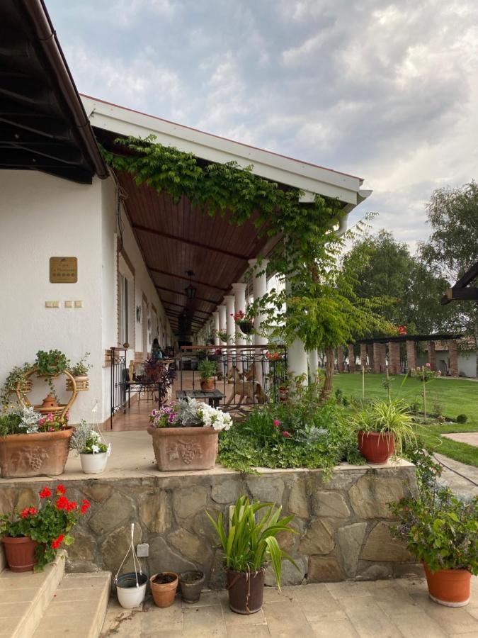 Country Club La Mesteceni Szászsebes Kültér fotó