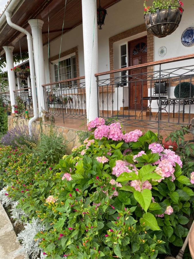 Country Club La Mesteceni Szászsebes Kültér fotó